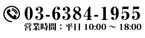 株式会社 国際法務電話番号03-6384-1955